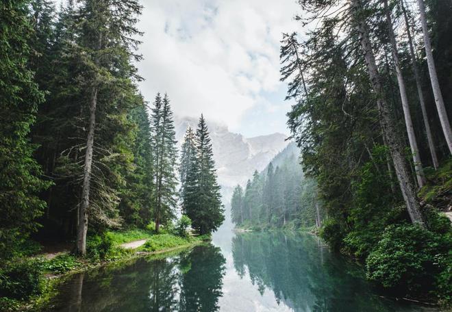 Et si vous arrêtiez tout pour écouter le bruit d’une forêt au bout du monde ?