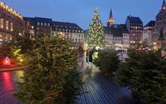 Mon beau sapin, roi des djembés : le grand sapin place Kléber sera transformé en instruments de musique