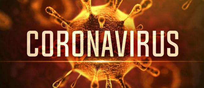Coronavirus - Santé Publique France annonce que 352 personnes sont mortes du COVID ces dernières 24 heures à l'hôpital