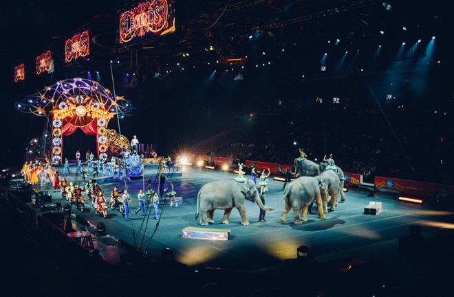 La fin des lions et des éléphants dans les cirques, on y est presque !