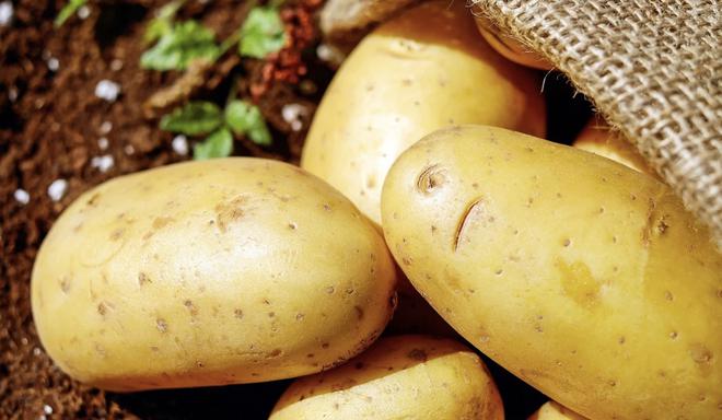 Cuire des pommes de terre : vous commettez tous la même erreur, suivez nos conseils pour l’éviter !