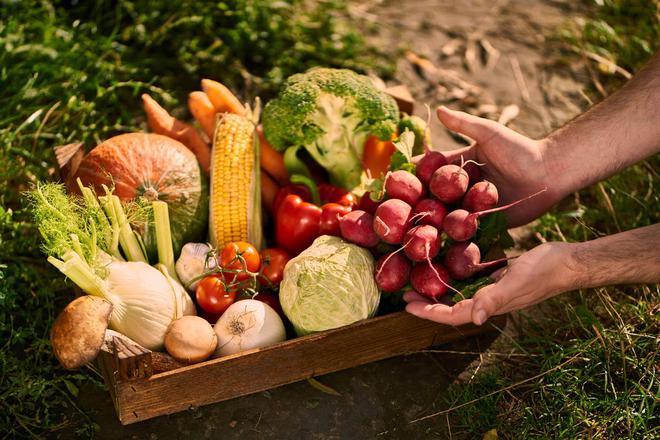 Cinq fruits et légumes par jour d’accord, mais dans quelle proportion ? Cette étude d’Harvard répond à la question !