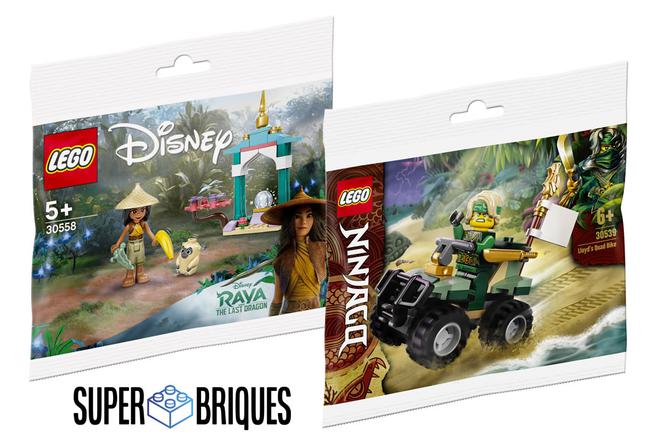 Chez Super Briques : Polybag Disney ou Ninjago offert dès 59 € d'achat