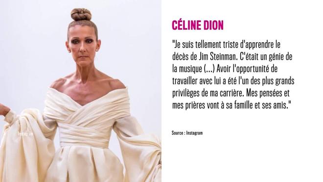 Non Stop People - Céline Dion : la chanteuse en deuil après la mort d'un être cher