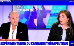 Cannabis à usage médical : questions autour d’une “drogue” thérapeutique