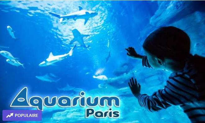 Bon plan Aquarium de Paris : billets pas chers à partir de 14€ ( visite nocture + boisson )