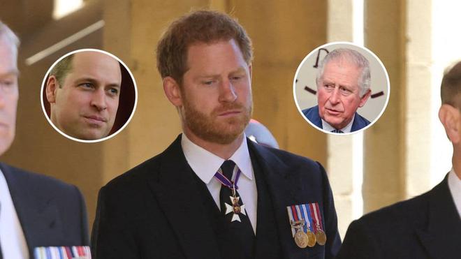 Le prince Harry a complètement dépassé les limites, Charles et William « ne lui ouvriront plus jamais les bras »