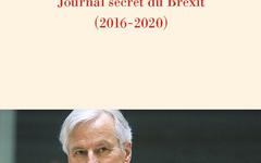 La grande illusion: Journal secret du Brexit (2016-2020) - Michel Barnier (2021)