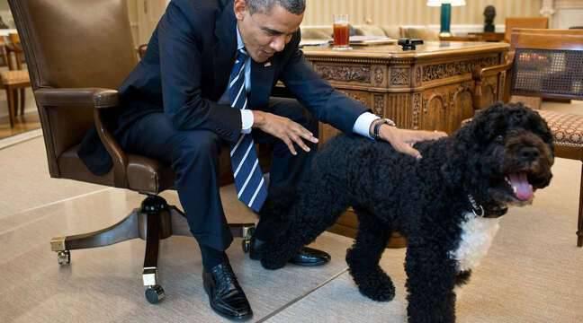Bo, le chien de Barack Obama et star de la Maison Blanche, est mort