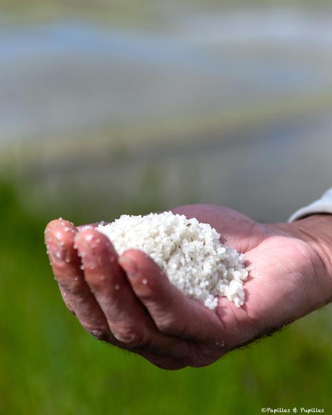 A la découverte du sel de Guérande dans les marais salants