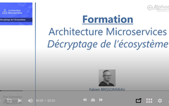 [ALPHORM] ARCHITECTURE MICROSERVICES ~ DÉCRYPTAGE DE L'ÉCOSYSTÈME (2020) WEBRIP X264 720P FR - LUPIN