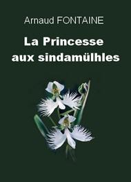 Livre audio gratuit : ARNAUD-FONTAINE - LA PRINCESSE AUX SINDAMüLHES