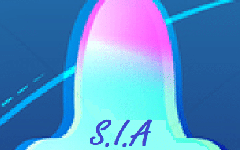 SIA : 2ème Chapitre