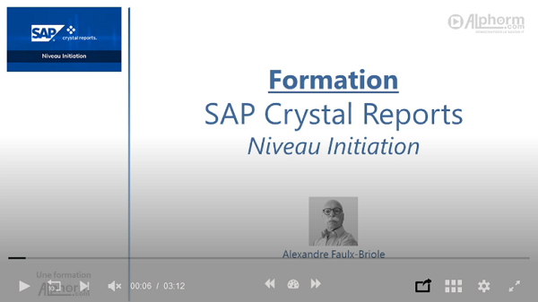 [ALPHORM] SAP CRYSTAL REPORTS ~ NIVEAU INITIATION (2020) WEBRIP X264 720P FR - LUPIN